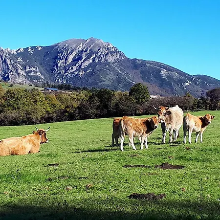 La Petite Forge, Vue Et Calme Absolu *
